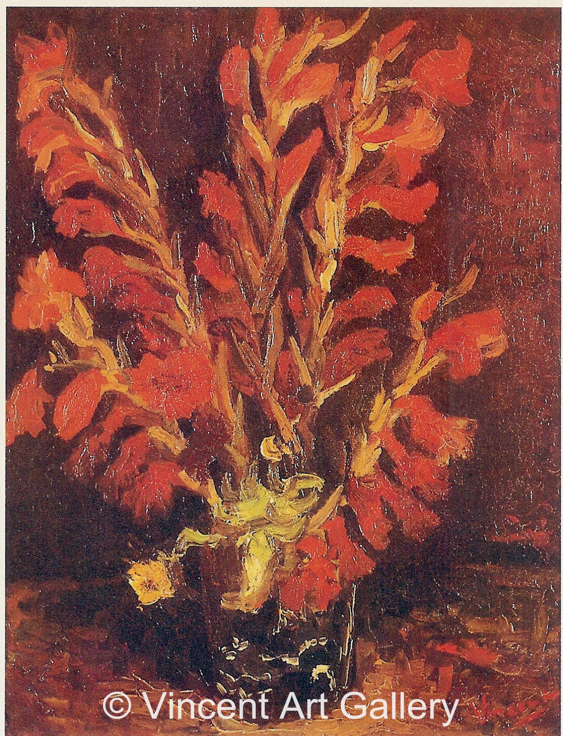 JH1146, Vase with Red Gladioli